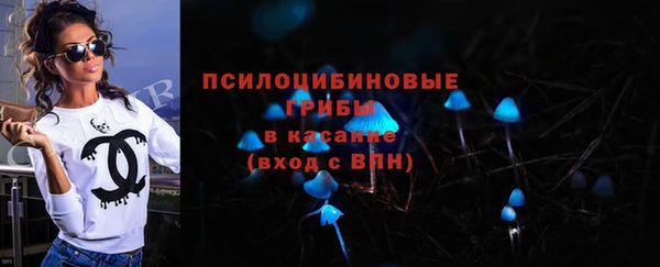 гашик Богданович